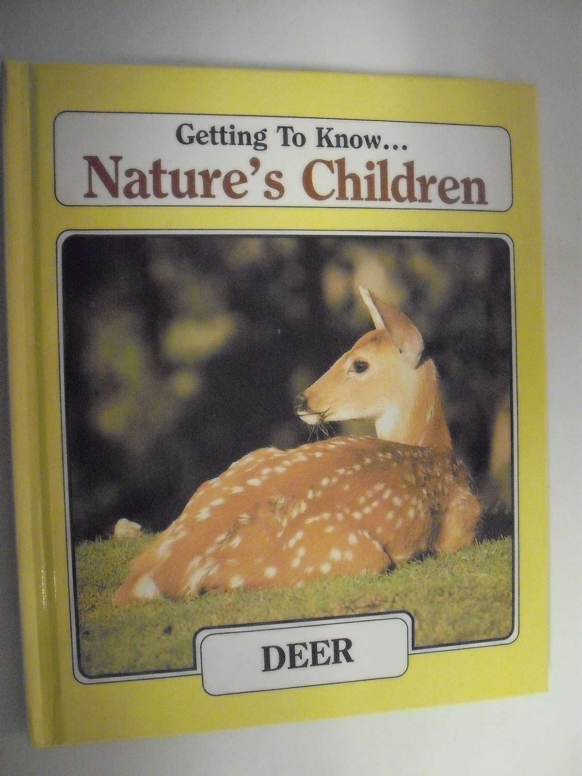 Bison: And, Opossum / Laima Dingwall ; Getting to know--nature's children