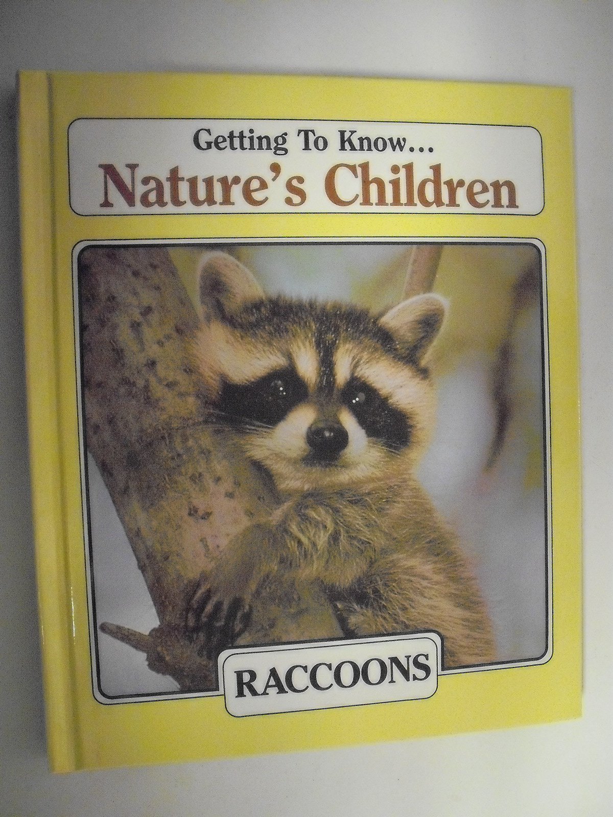 Getting to Know Nature's Children: Raccoons & Owls