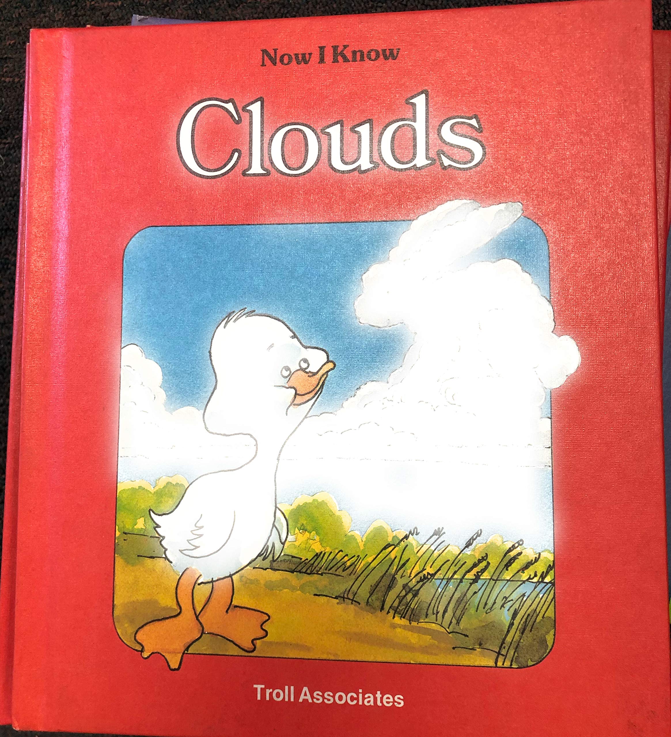 Now I Know Clouds
