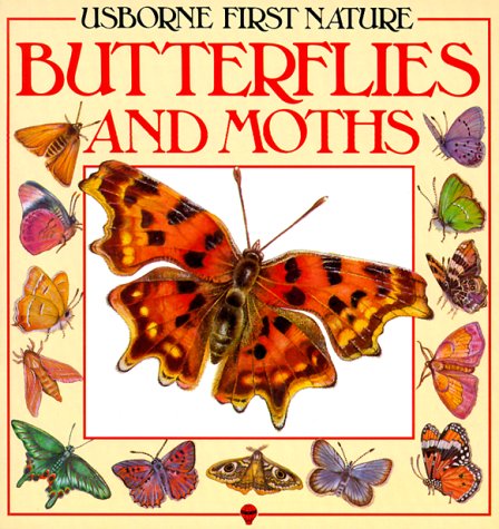 Butterflies and Moths (Usborne First Nature)