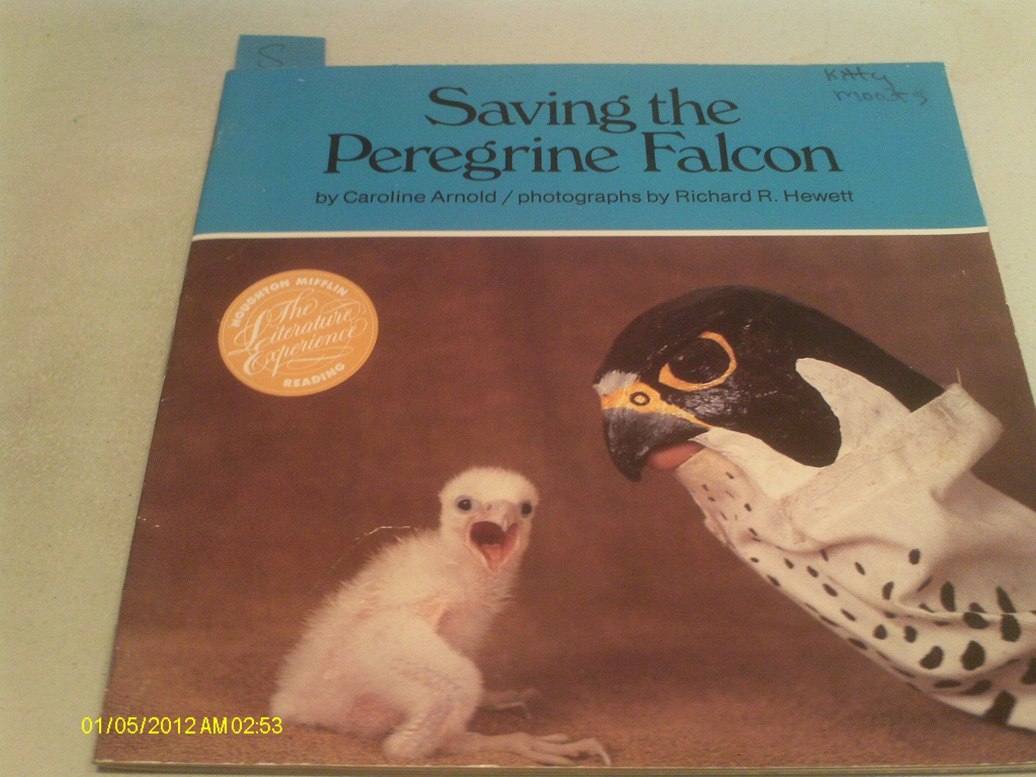 Saving the Peregrine Falcon (Nature Watch)
