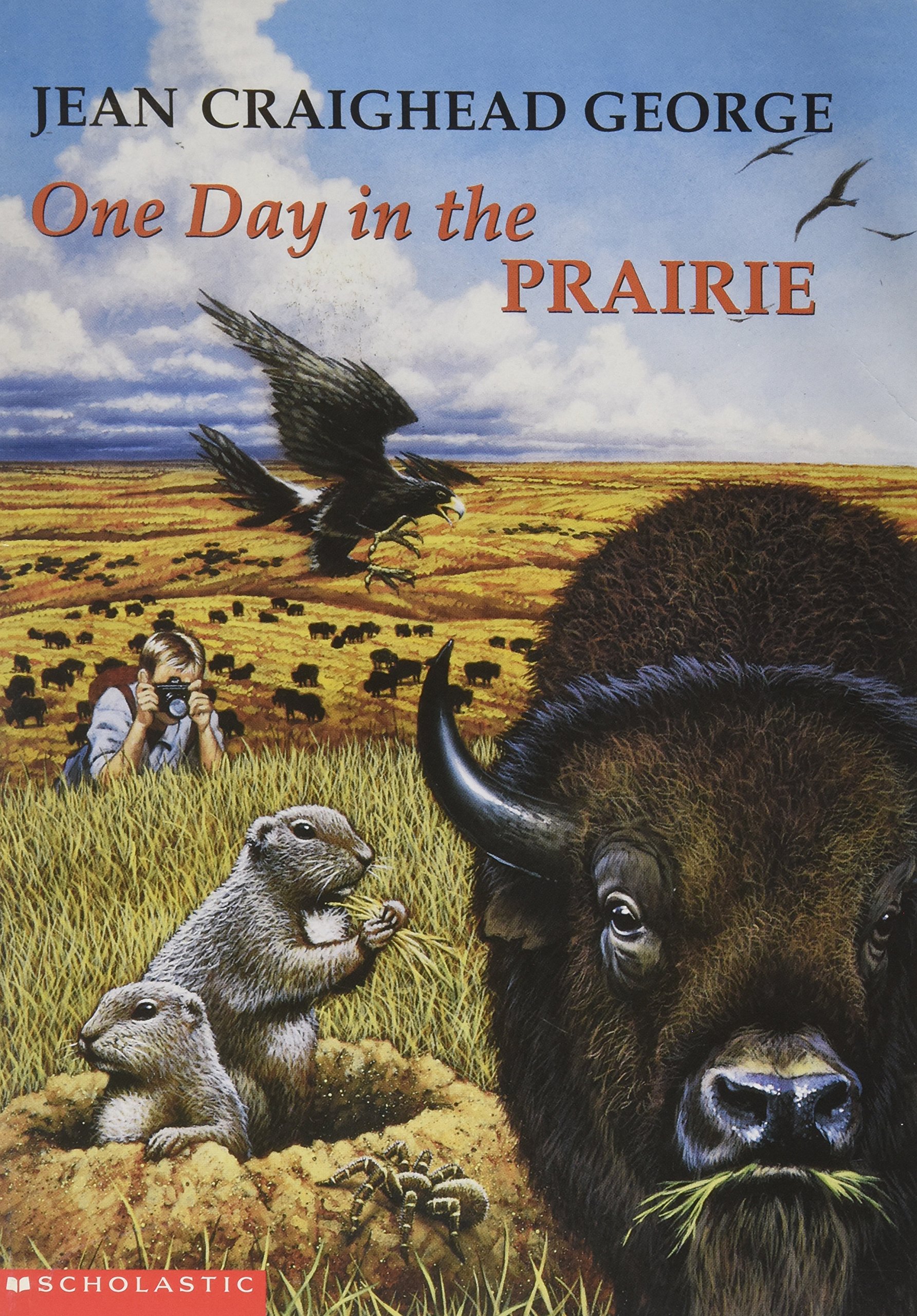 One Day in the Prairie