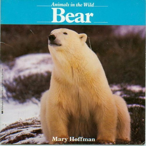 Bear (Animals in the Wild)