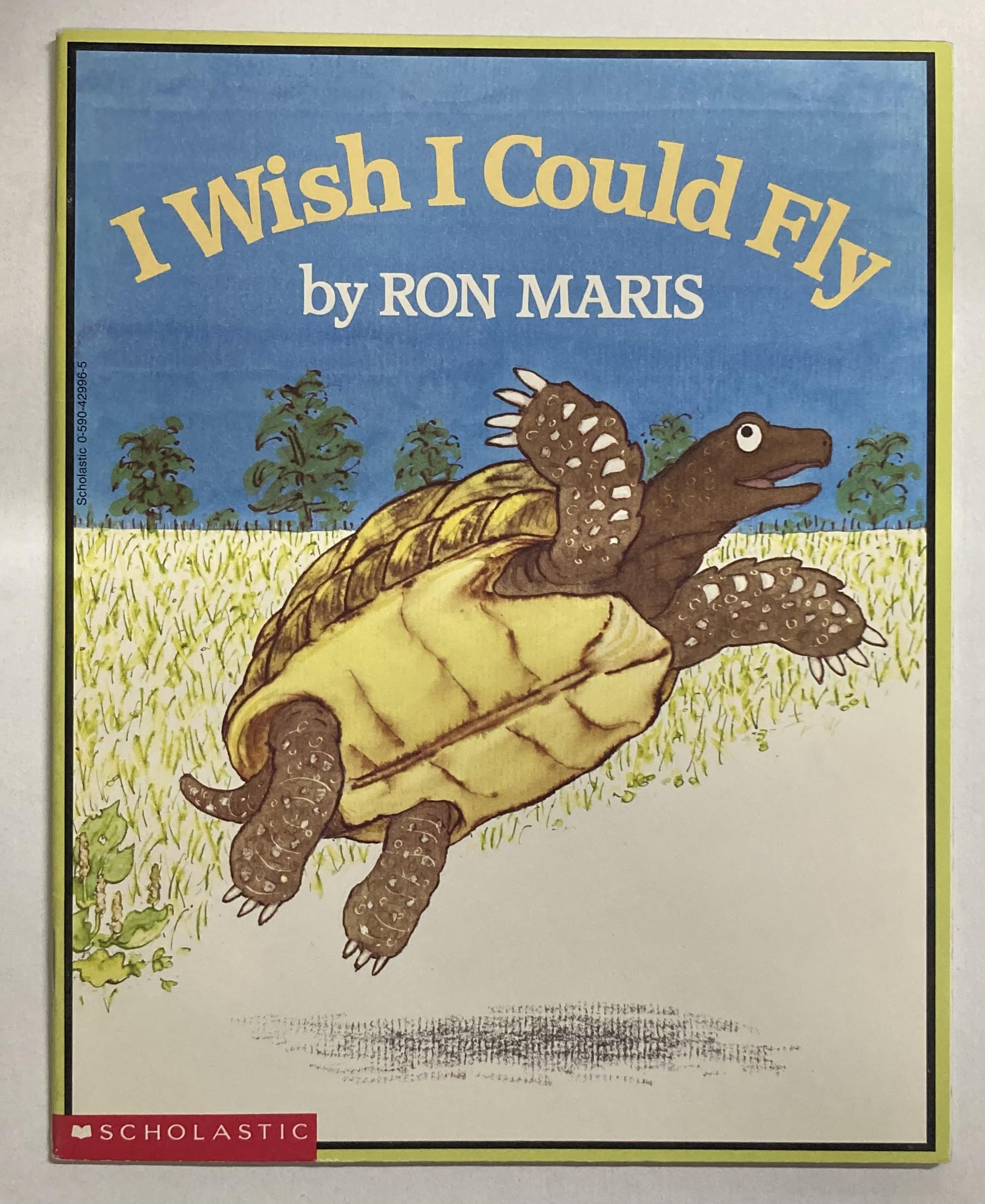 i wish i could fly