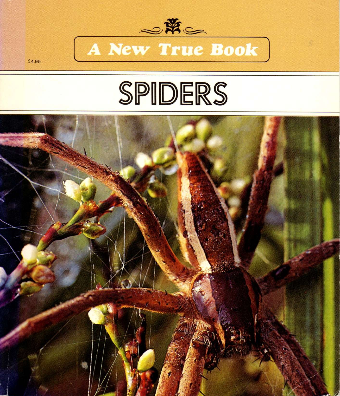 Spiders (New True Book)