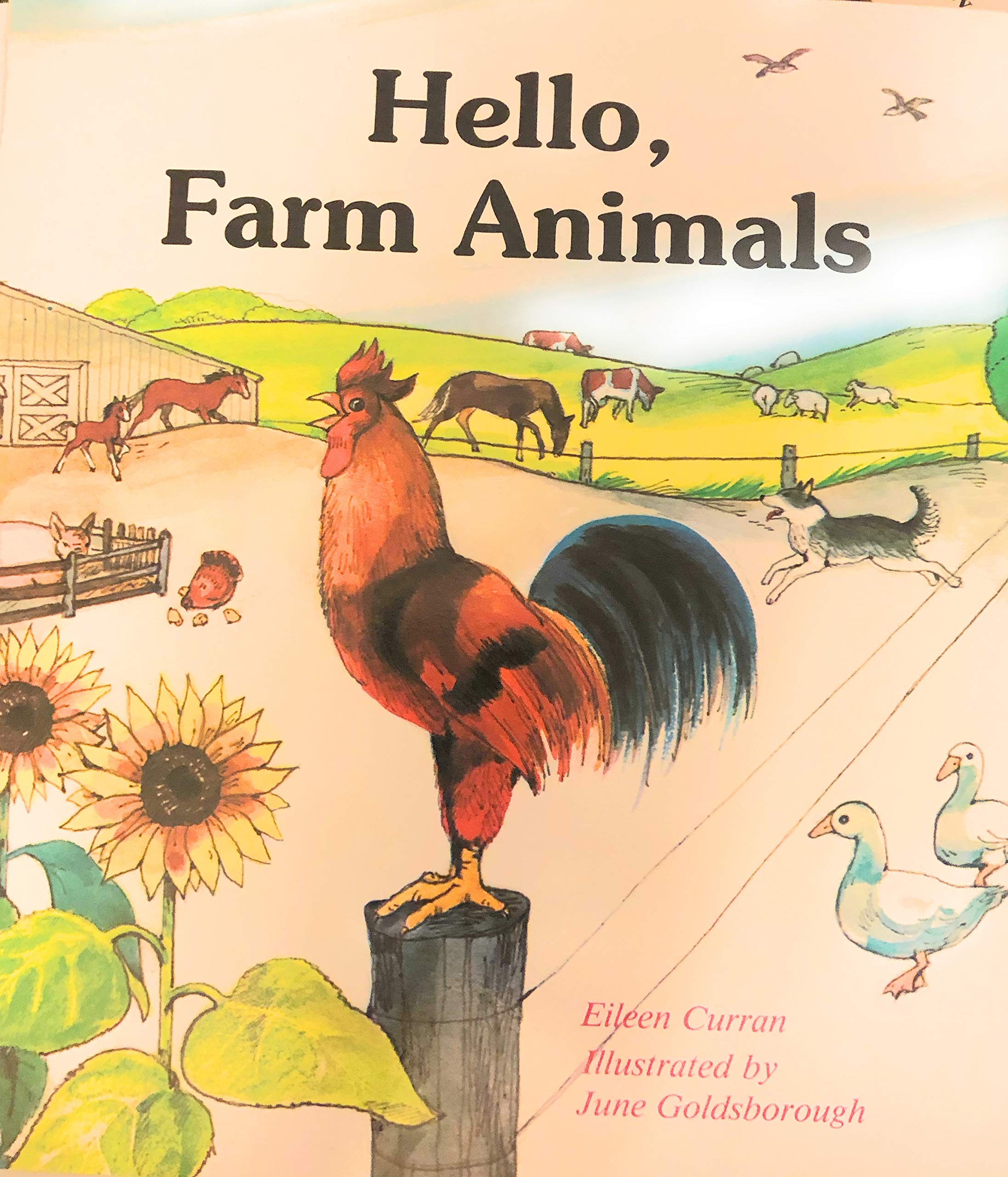 Hello, Farm Animals