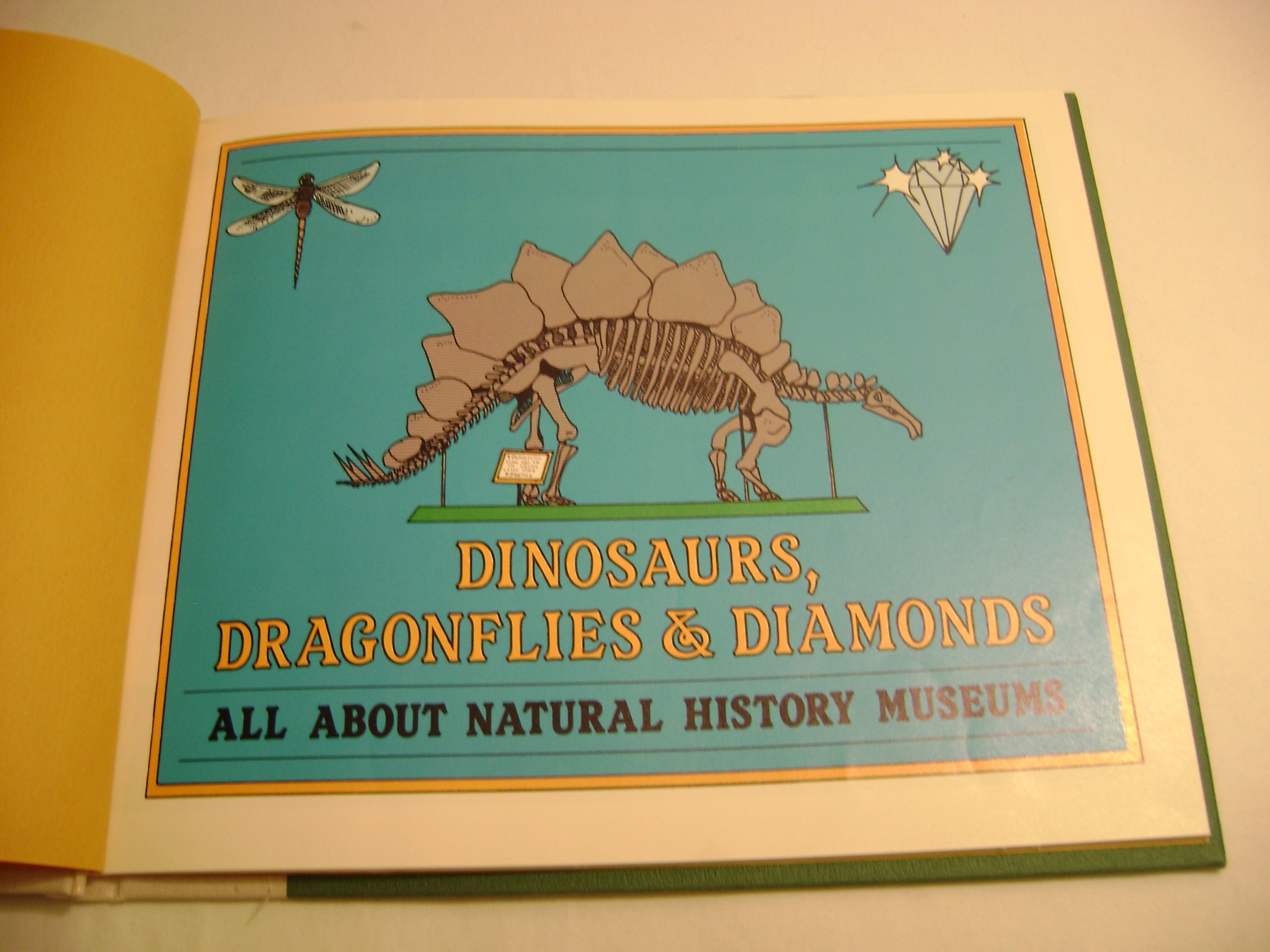 Dinosaurs Dragonflies and Diamonds