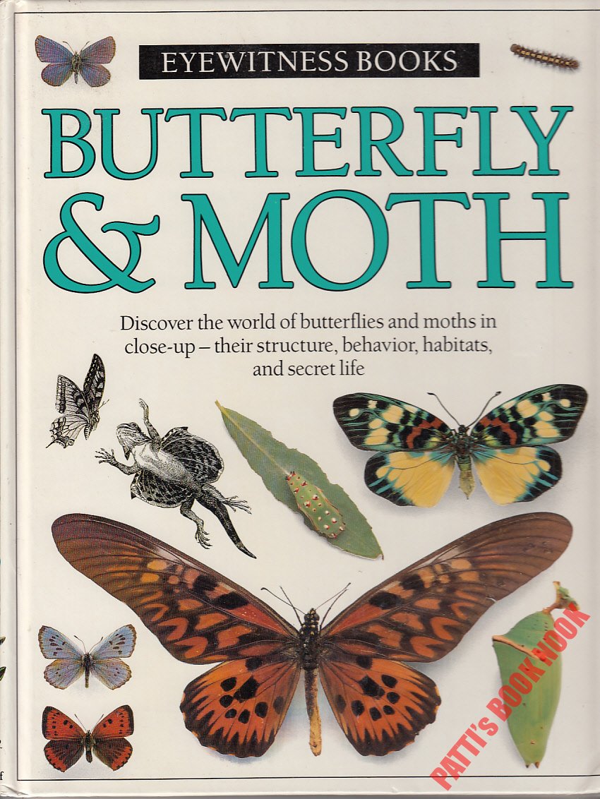 Butterfly & Moth