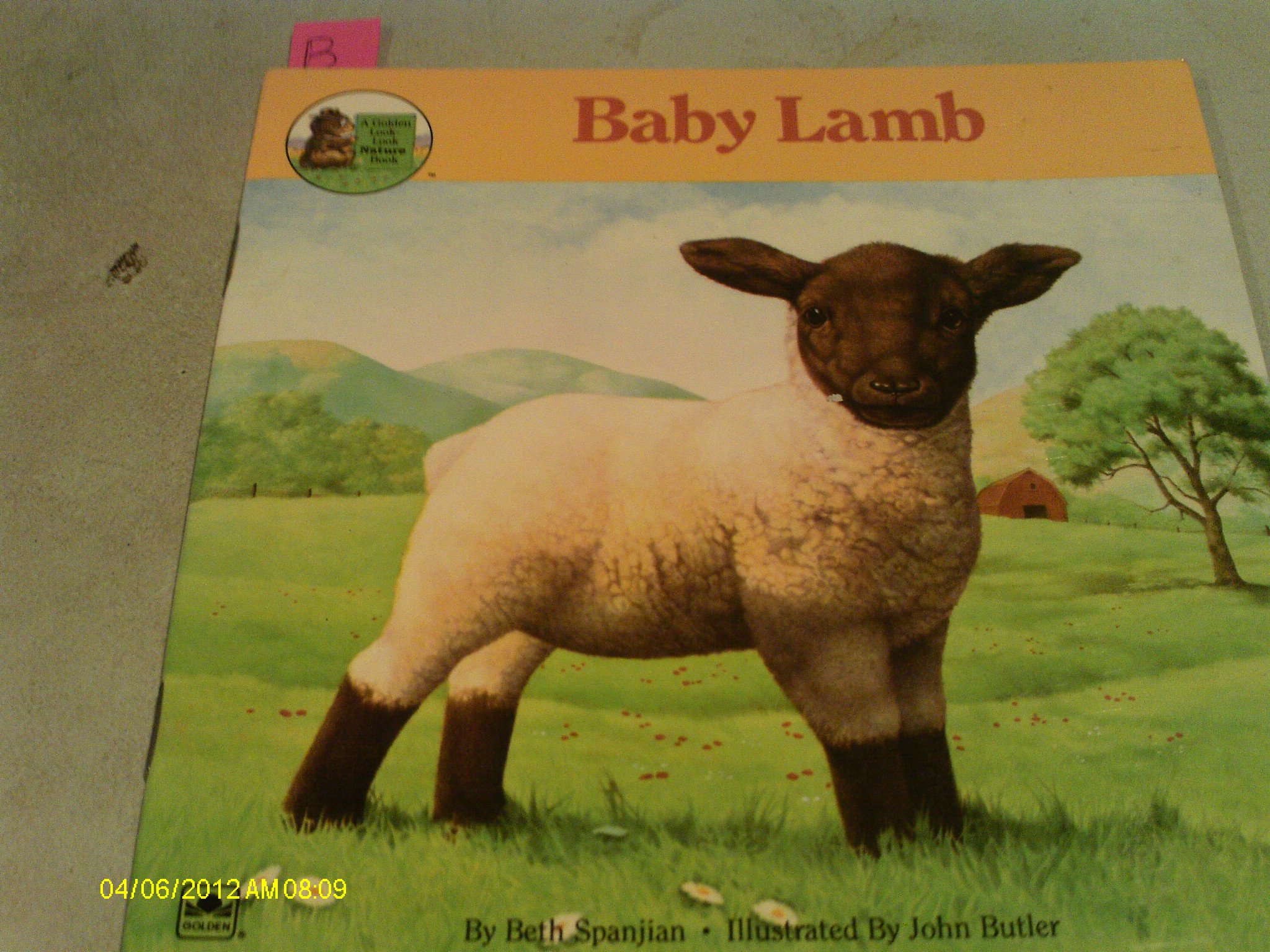 Baby lamb (A Golden look-look nature book)