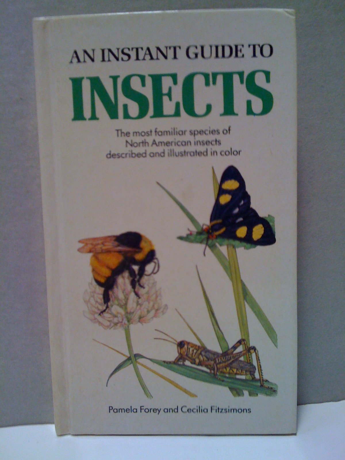 Instant Guide to Insects