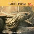 Turtle and Tortoise (Animals in the Wild Series)