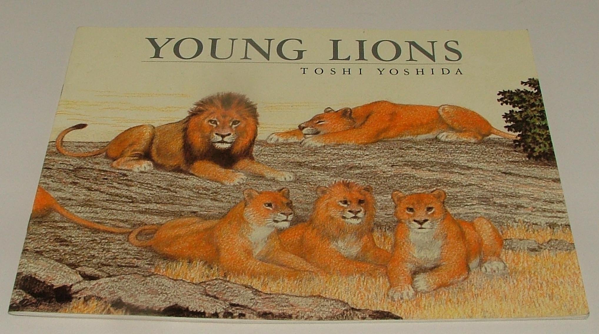 Young Lions