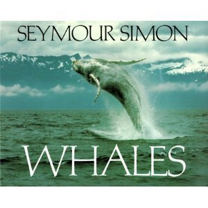 Whales
