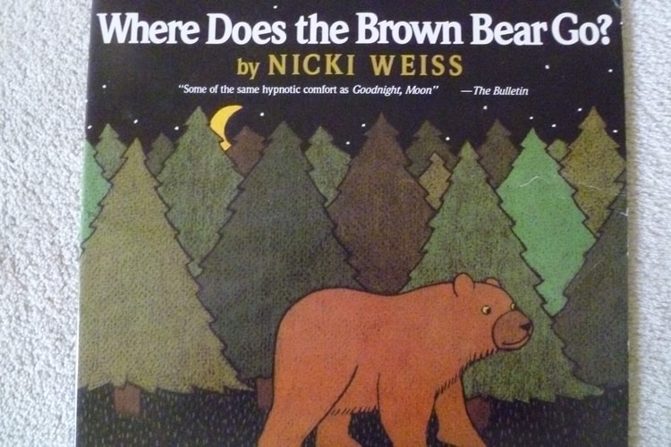 Where Does the Brown Bear go?