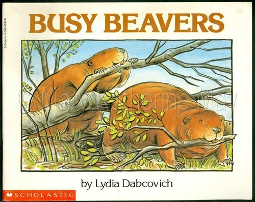Busy Beavers