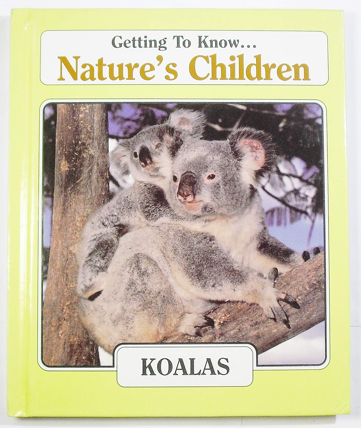 Getting to Know Natures Children, Koalas/Cheetahs (Getting to Know Natures Children)