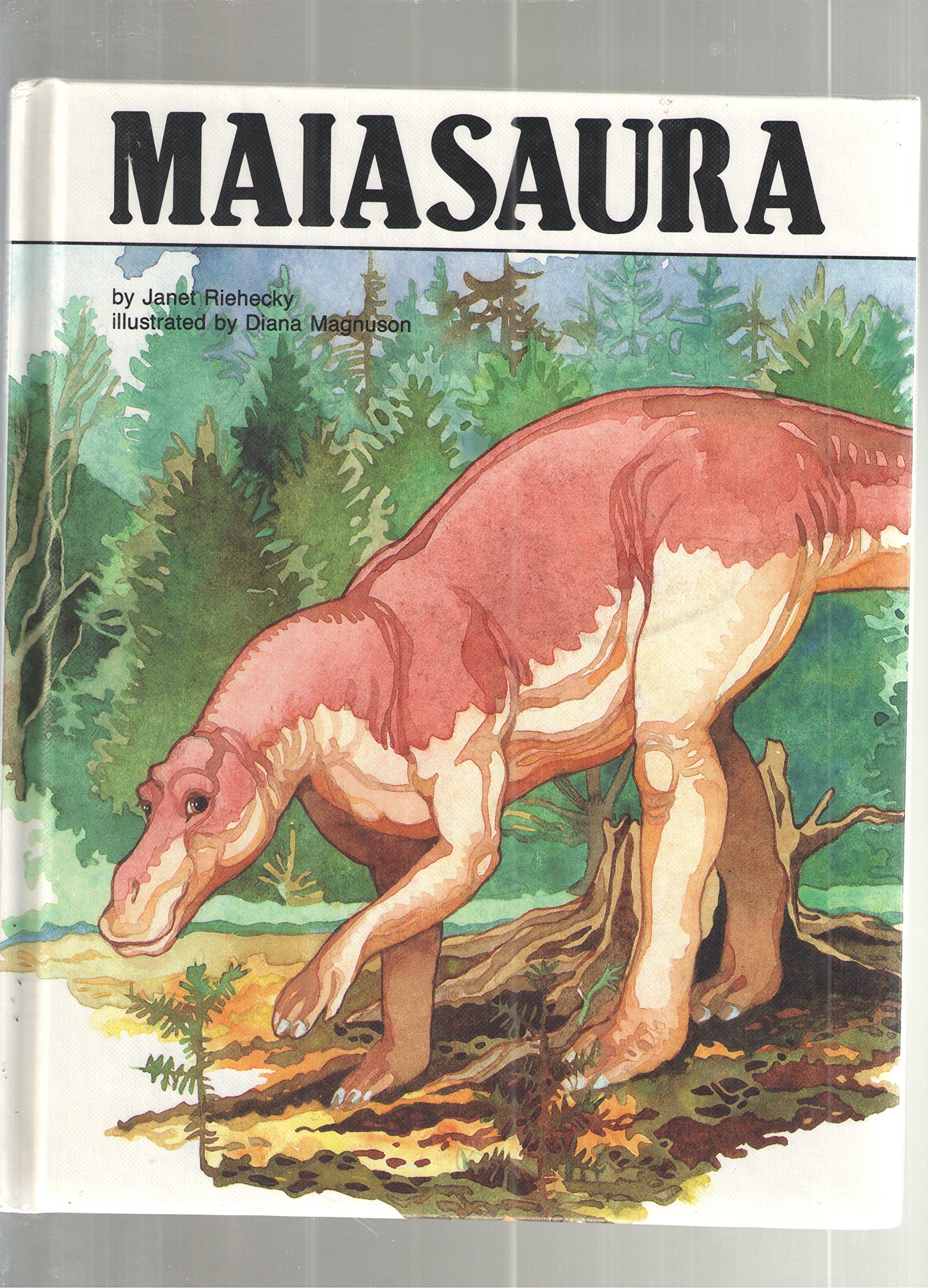 Maiasaura : Dinosaurs Series