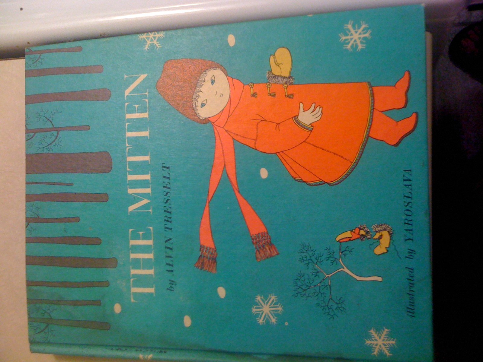The Mitten