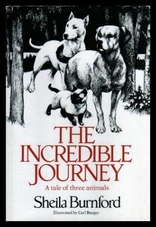 Incredible Journey