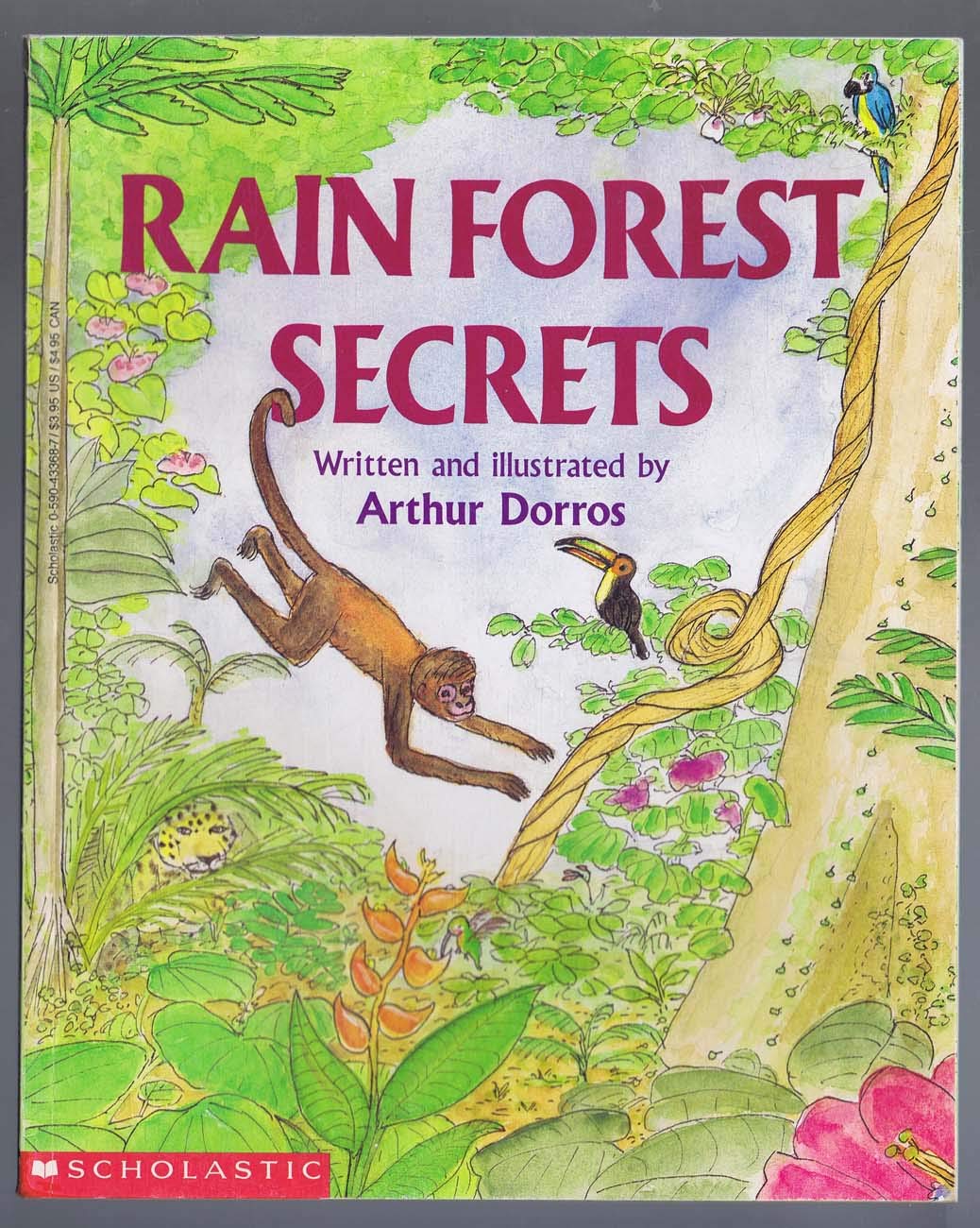 Rain Forest Secrets