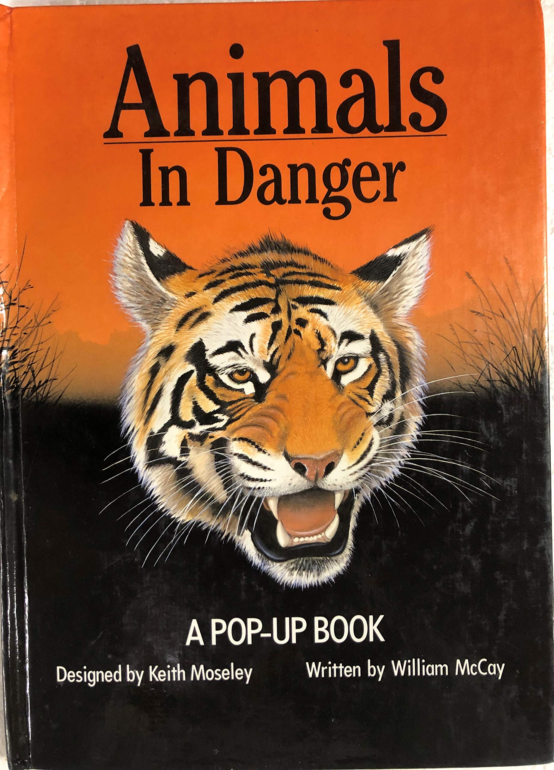 Animals in Danger Pop-up Book
