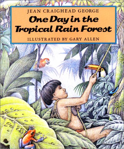 One Day in the Tropical Rain Forest