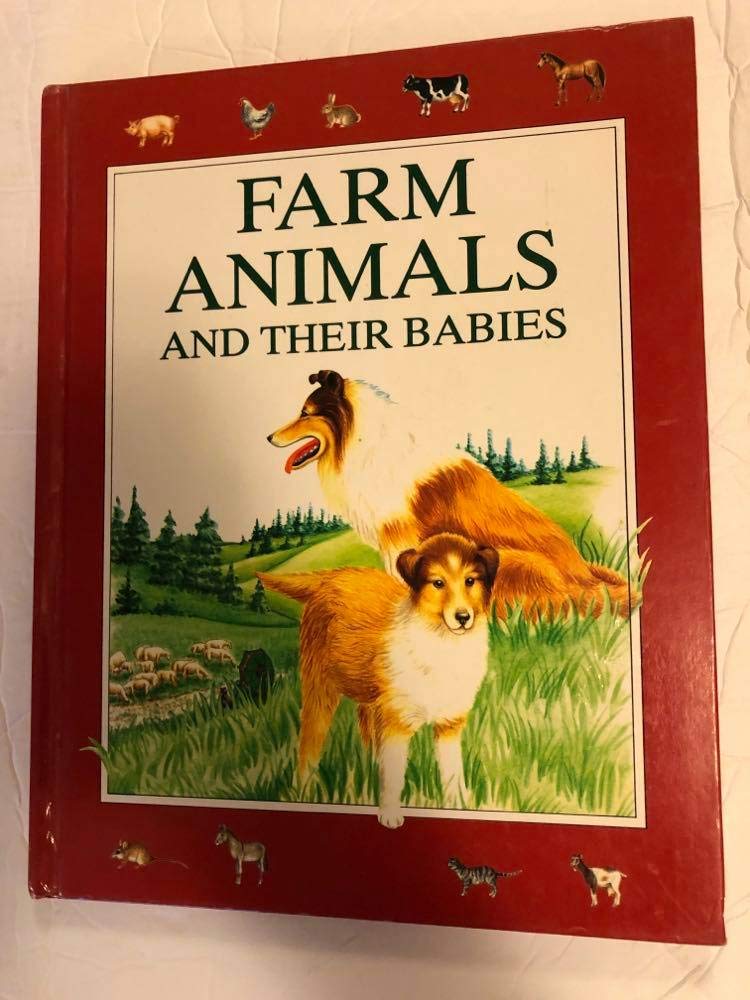 Farm Animals and Their Babies