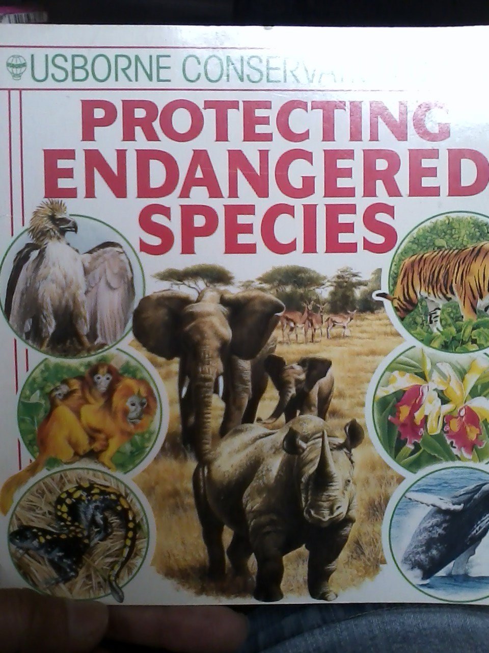 Protecting Endangered Species (Green Guides Series)