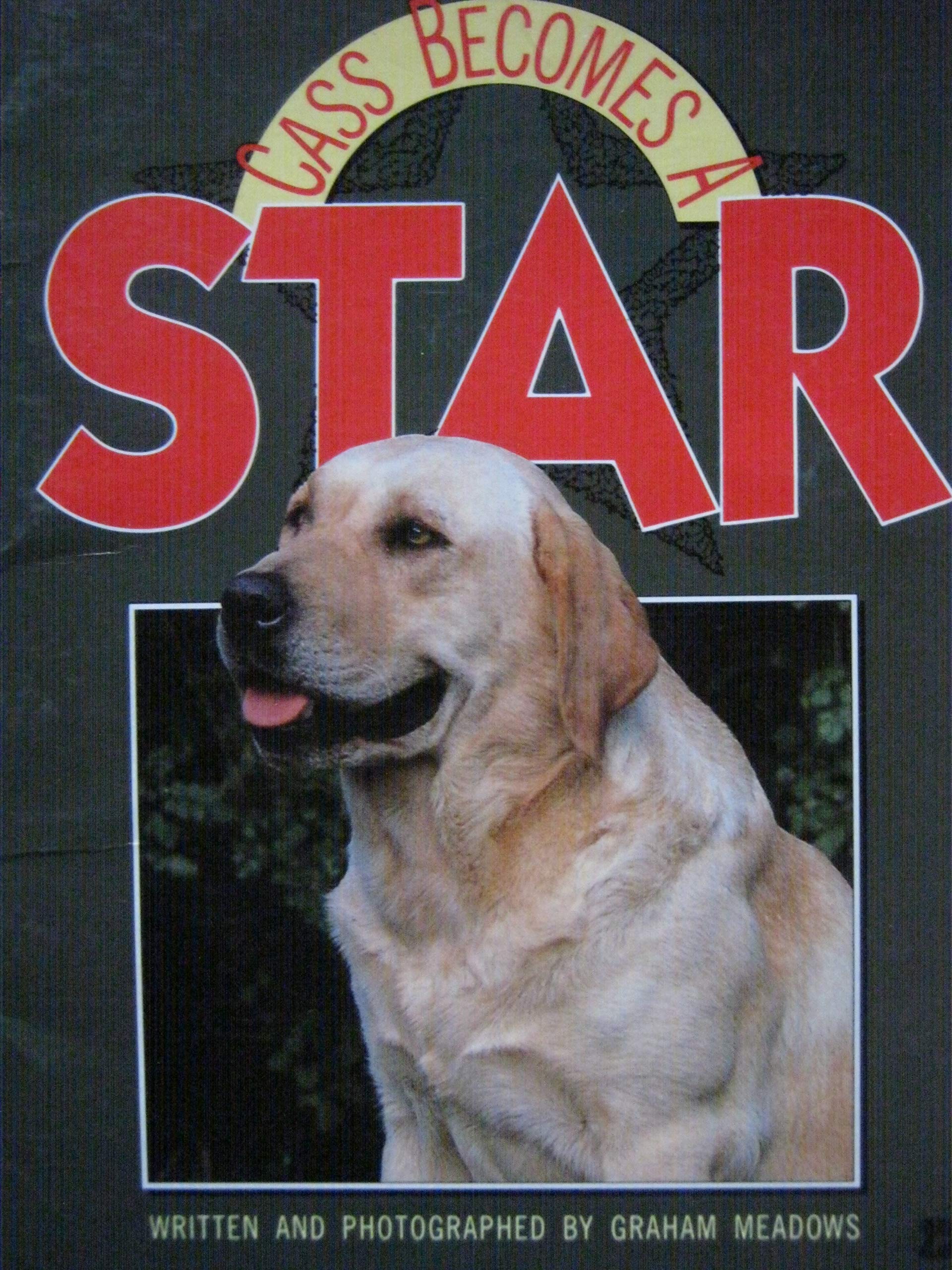 Cass Becomes A Star [Literacy 2000 Stage 6 Set C]