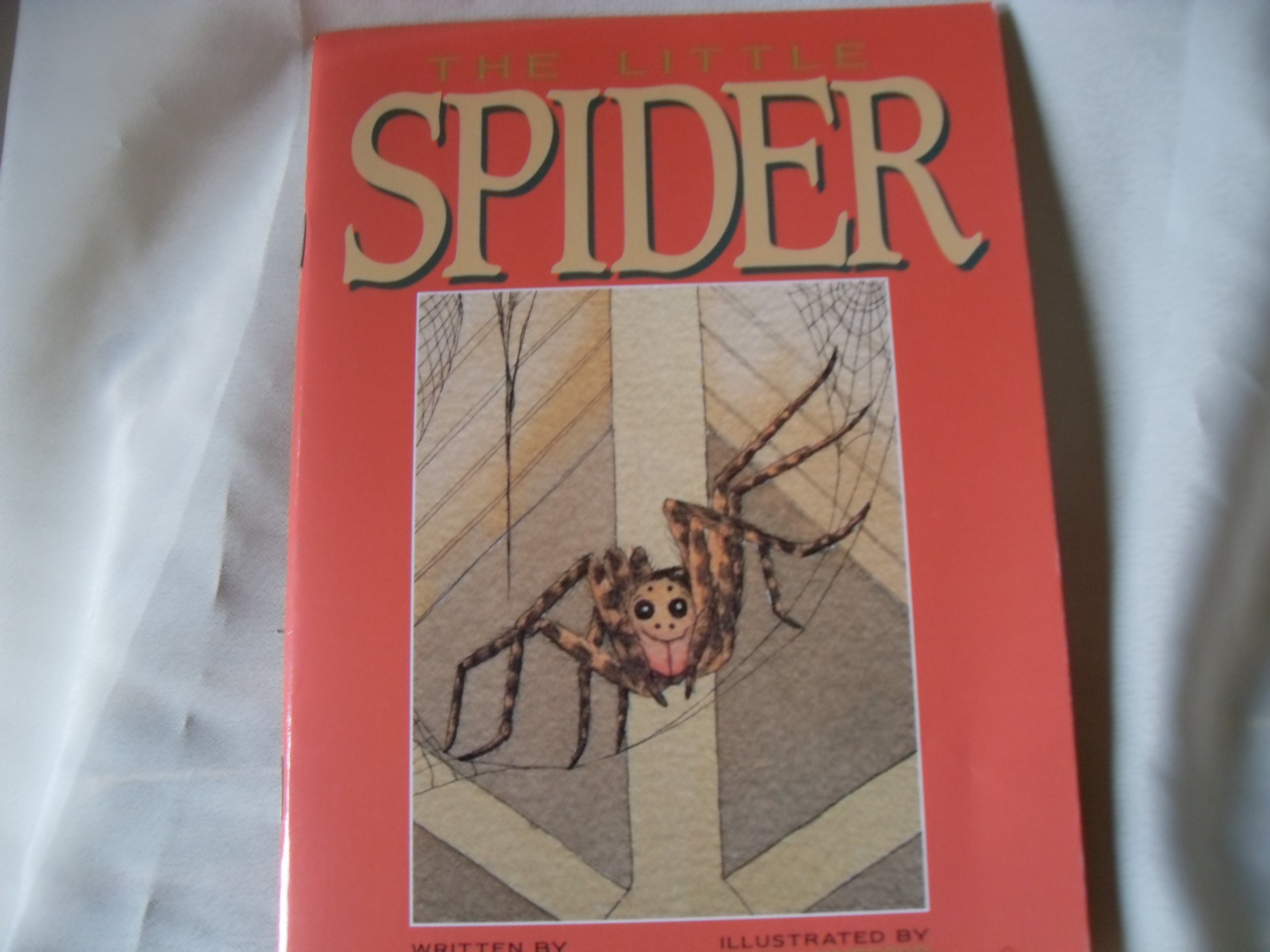 The Little Spider (Literacy 2000 Stage 6)