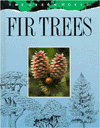 Fir Trees (Green World)