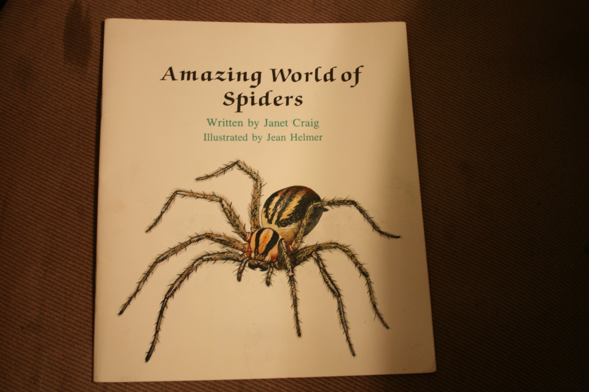 Amazing World of Spiders (Learn-About Books)