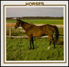 Horses (Farm Animal Discovery Library)