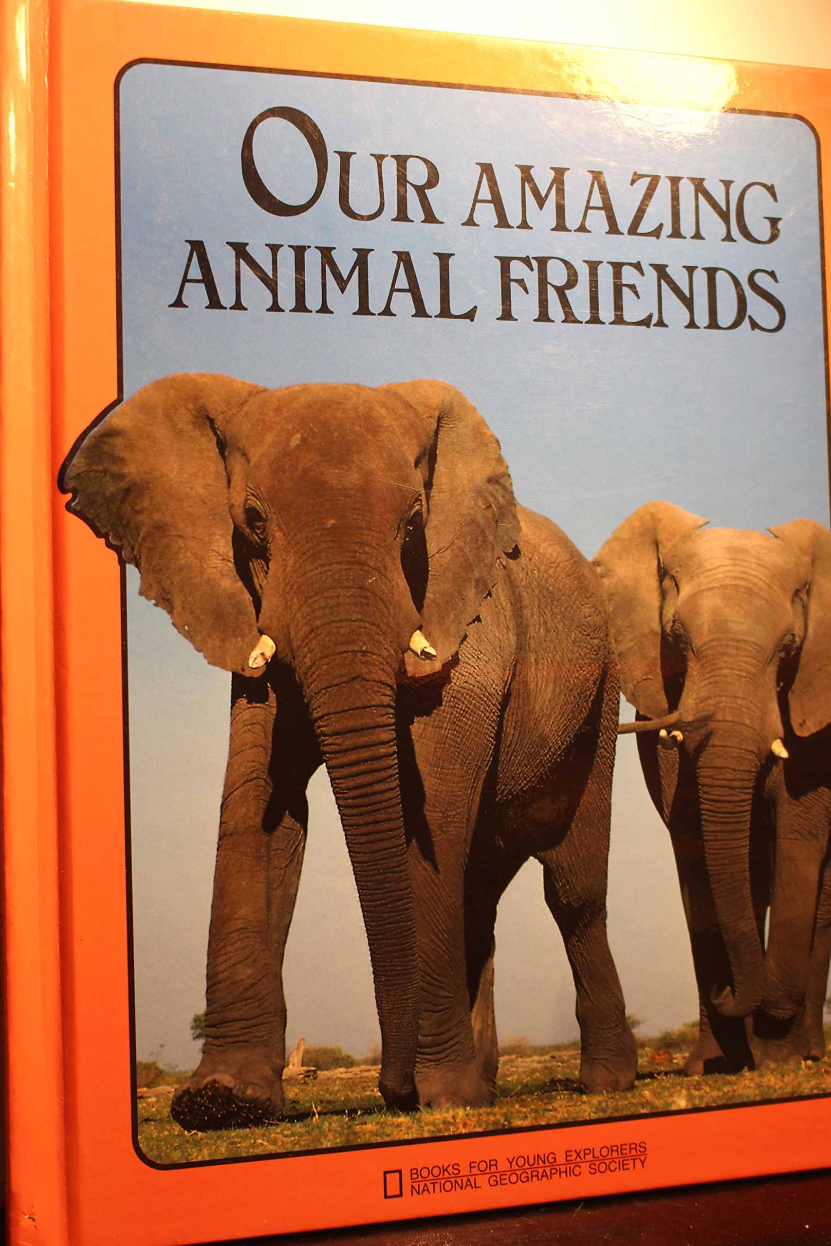 Our Amazing Animal Friends (Books for Young Explorers)