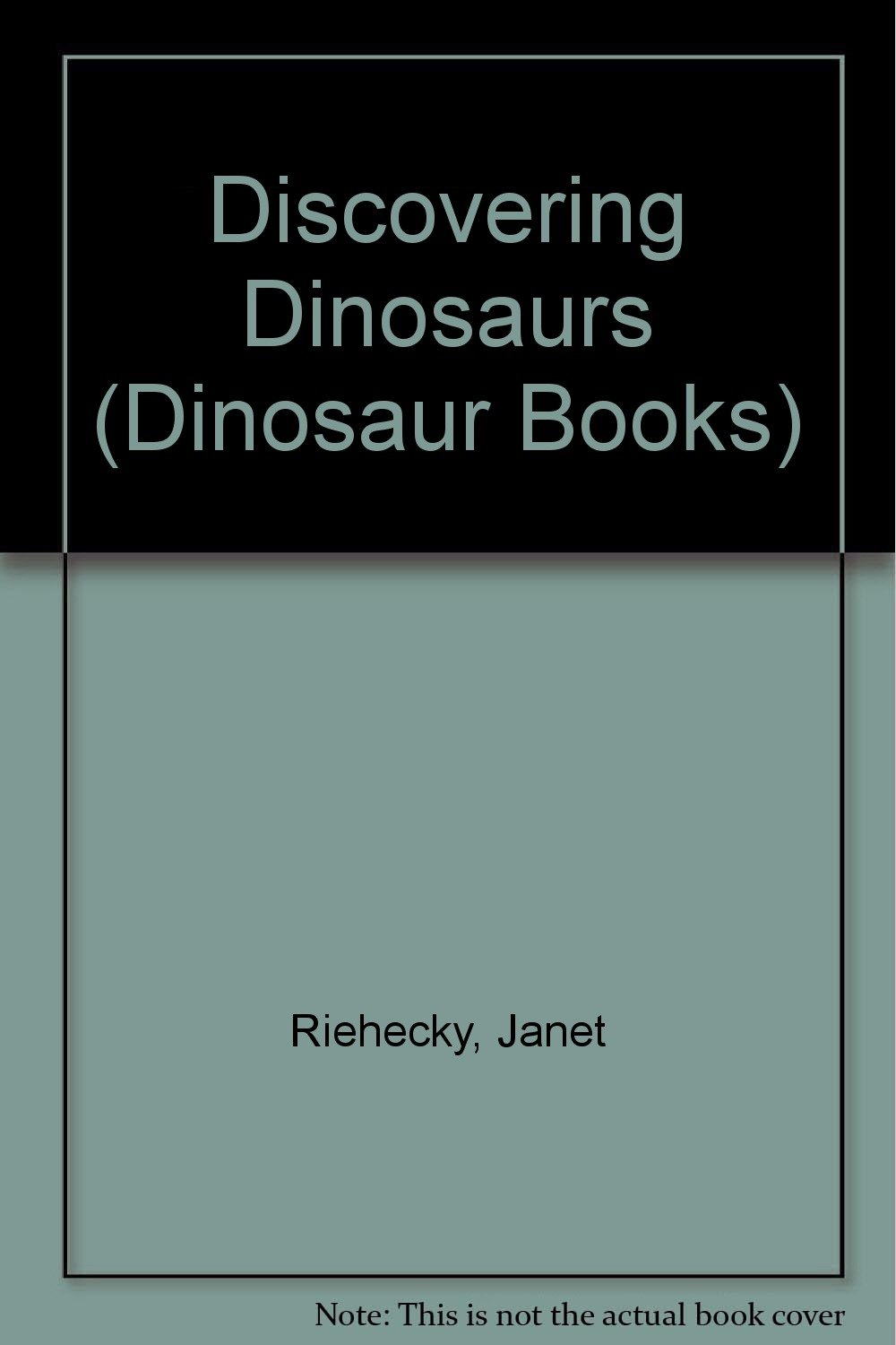 Discovering Dinosaurs : Dinosaurs Series