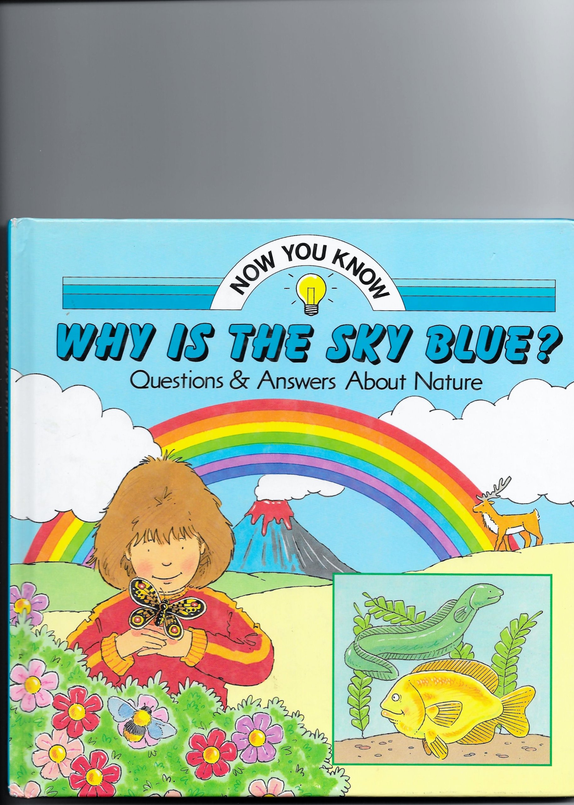 Why Is the Sky Blue? (Now You Know Series)