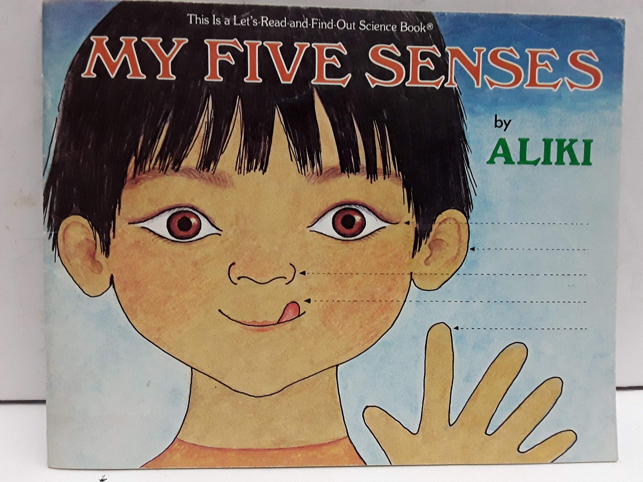 my-five-senses