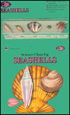 Seashells