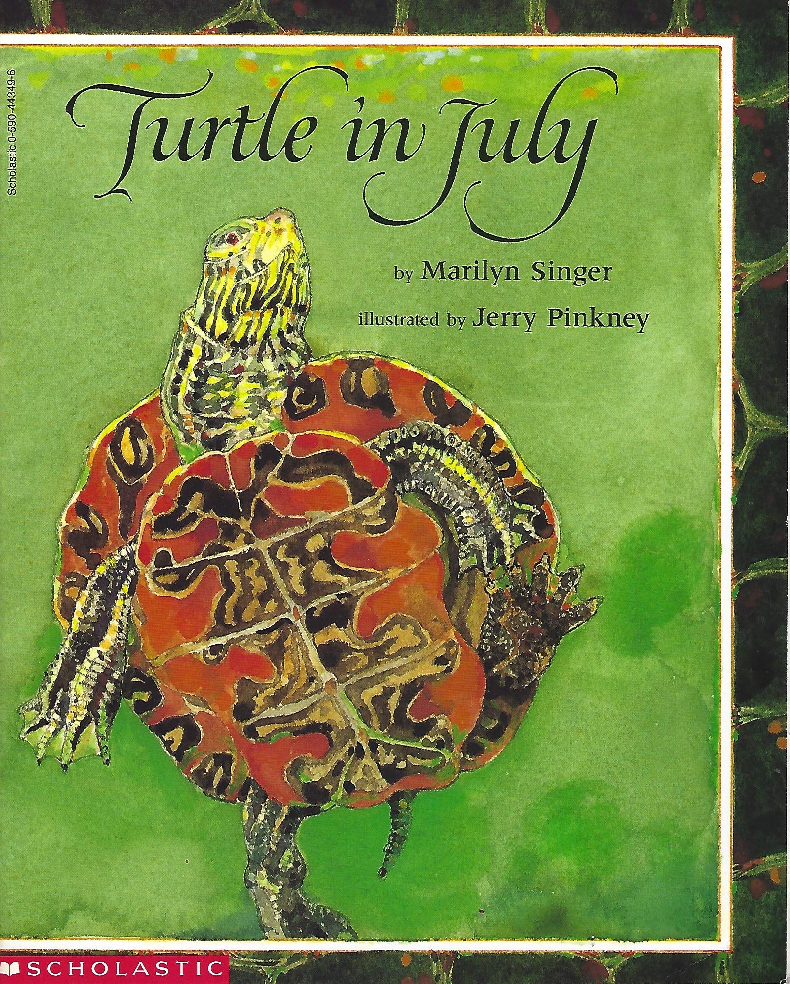 Turtle in July