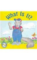 What Is I-Phonics Read Set 1 (Phonics Readers)