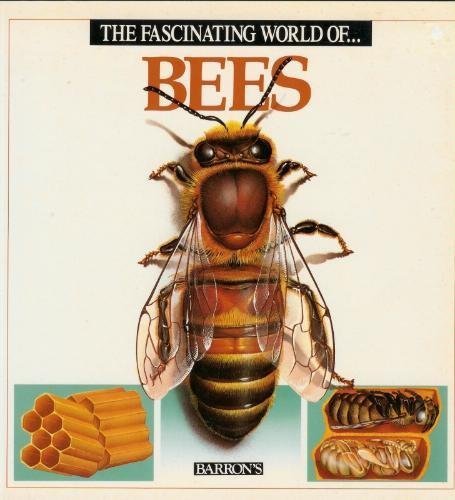 The Fascinating World of Bees