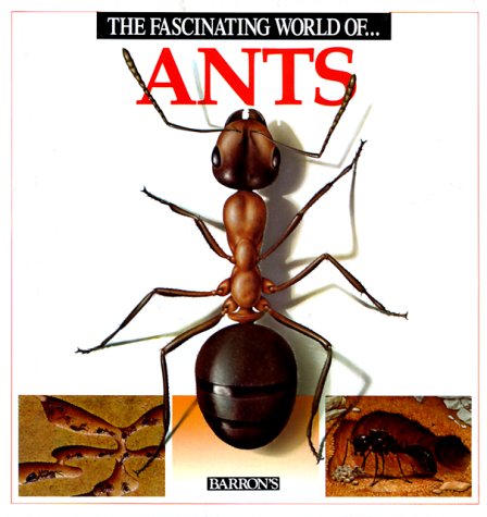 The Fascinating World of Ants