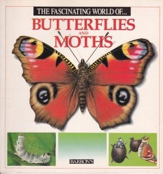The Fascinating World of Butterflies and Moths