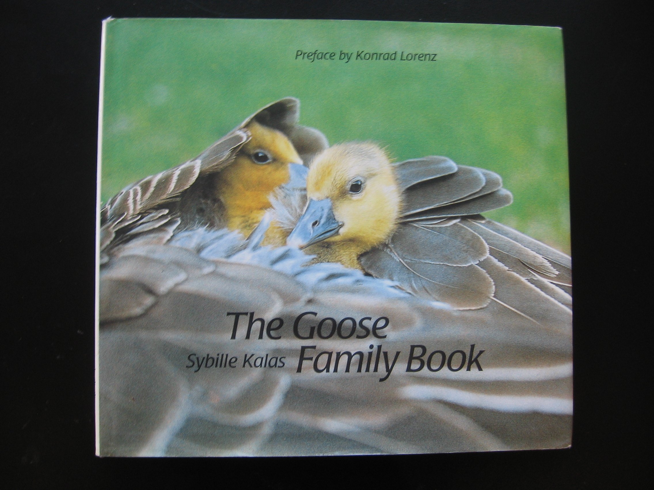 Goose Family Book