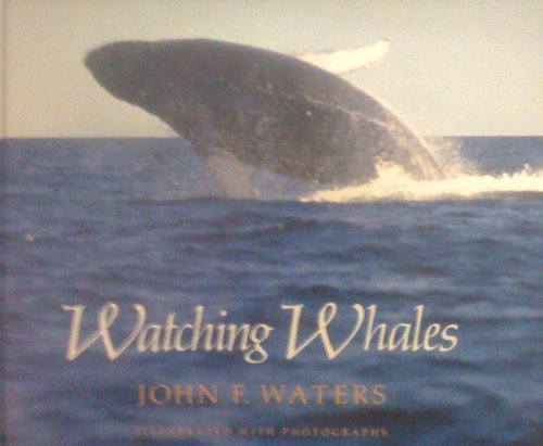 Watching Whales: 2
