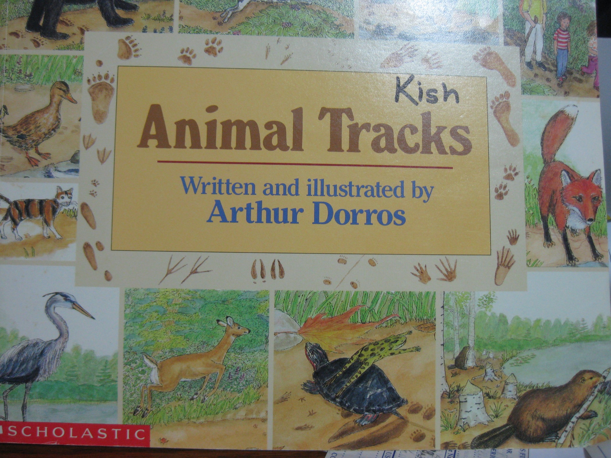 Animal Tracks