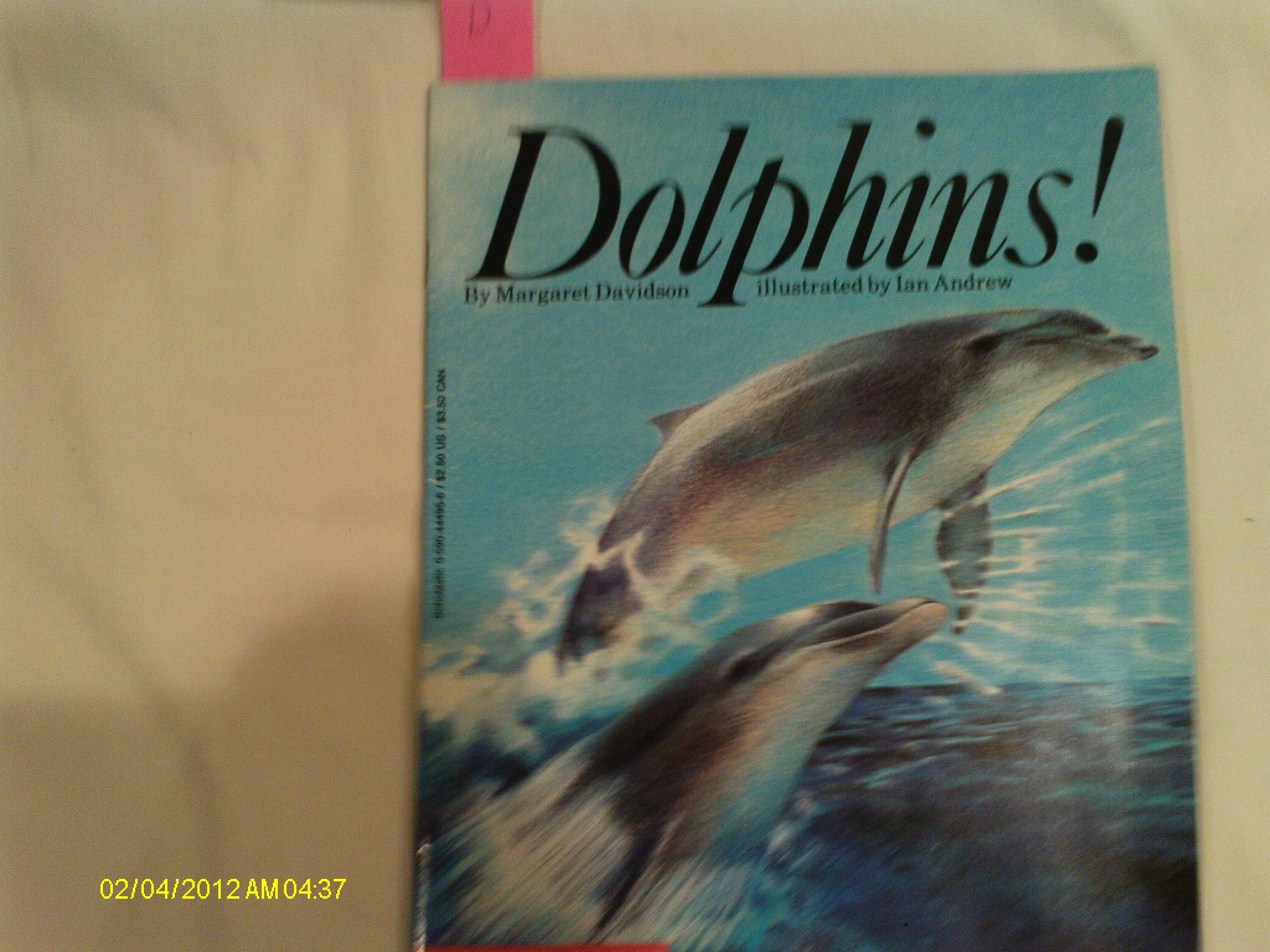 Dolphins!