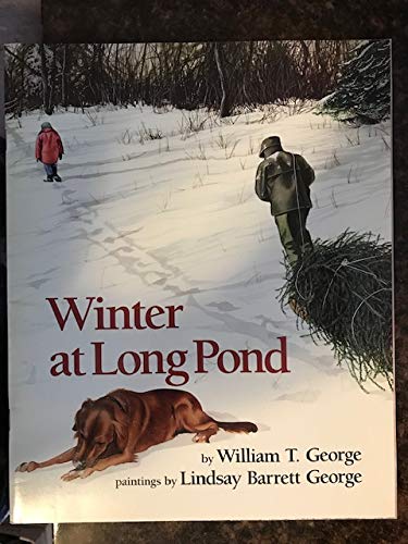 Winter at Long Pond