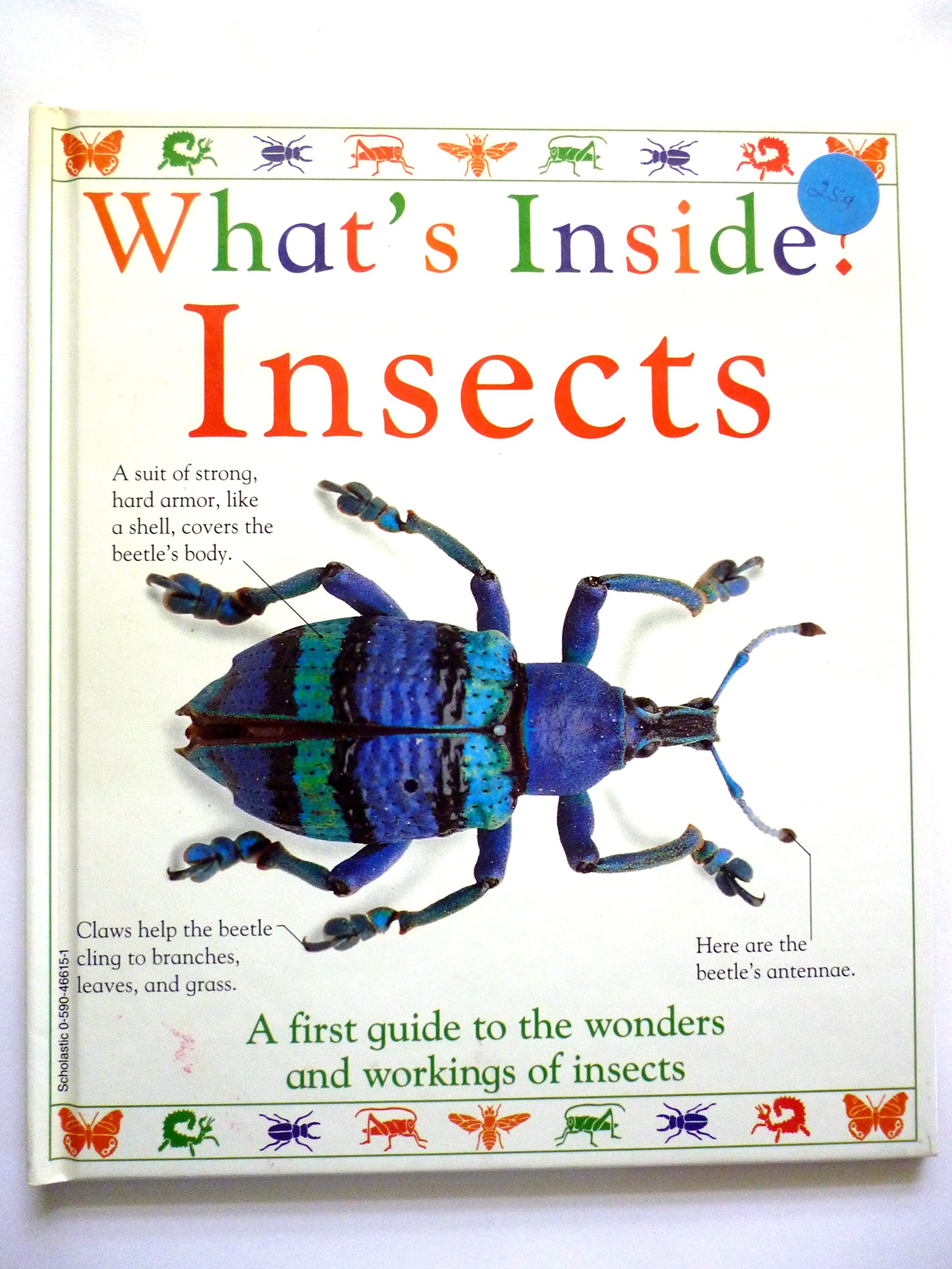 What's Inside? Insects