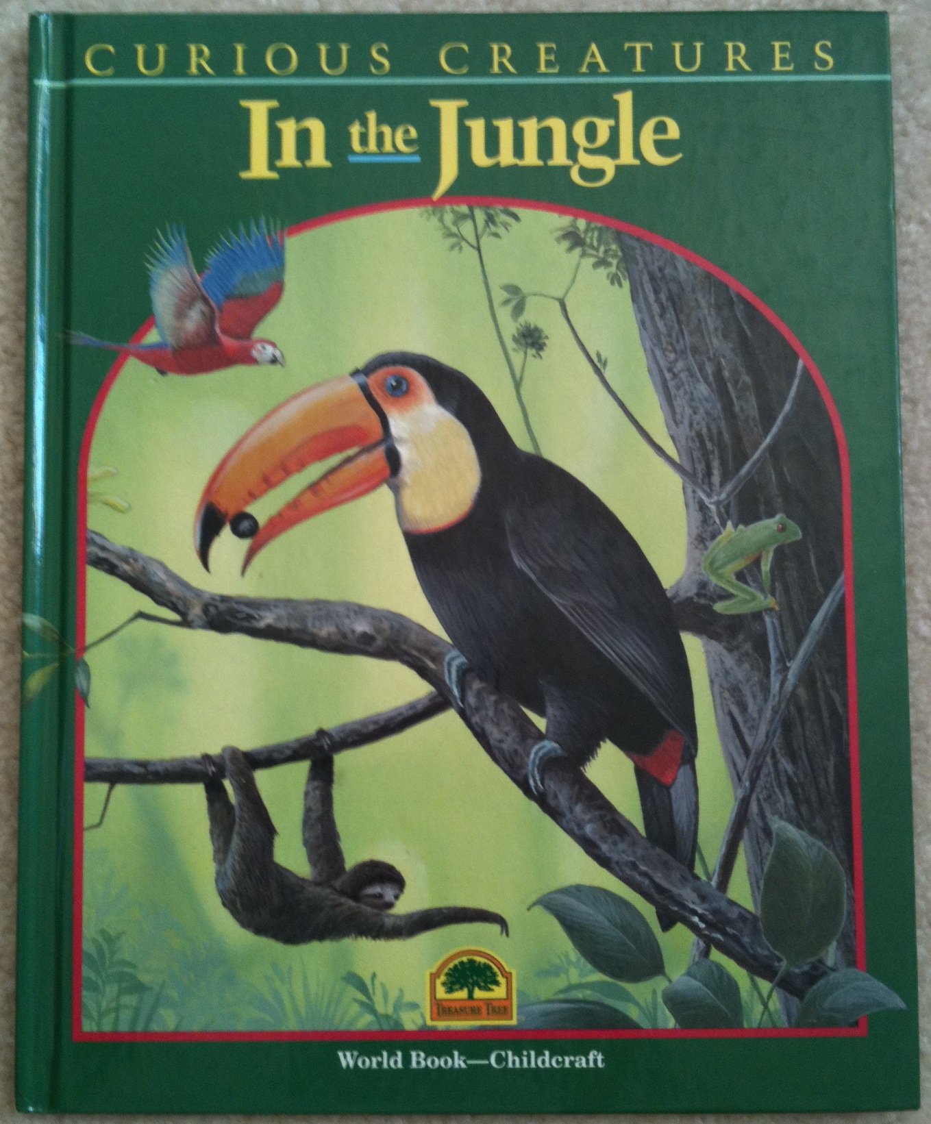 In the jungle (Curious creatures)